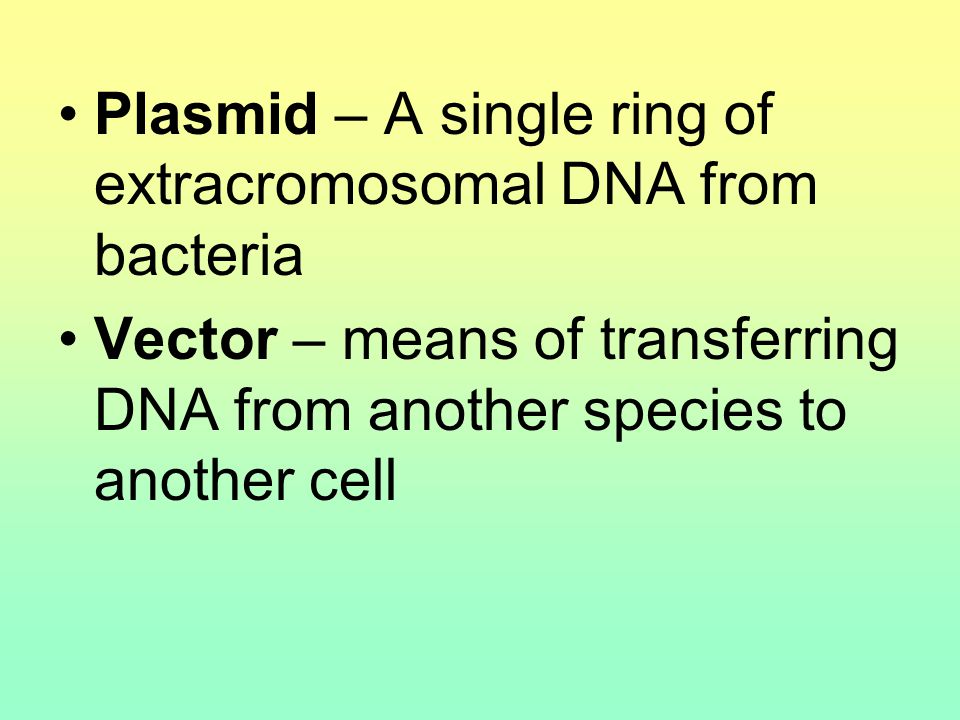Plasmid – A single ring of extracromosomal DNA from bacteria Vector – means of transferring DNA from another species to another cell