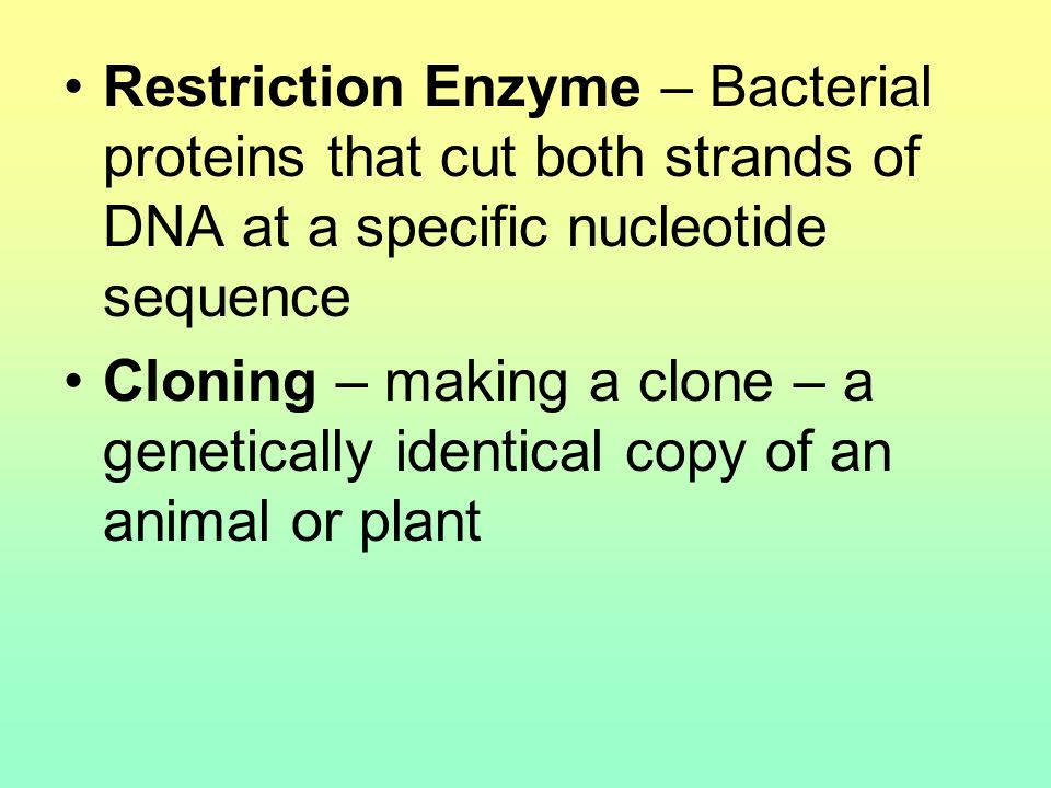 Restriction Enzyme – Bacterial proteins that cut both strands of DNA at a specific nucleotide sequence Cloning – making a clone – a genetically identical copy of an animal or plant