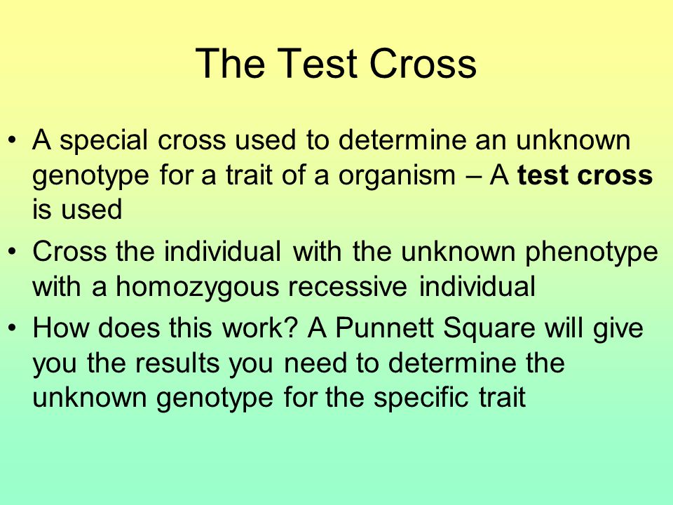 The Test Cross A special cross used to determine an unknown genotype for a trait of a organism – A test cross is used Cross the individual with the unknown phenotype with a homozygous recessive individual How does this work.