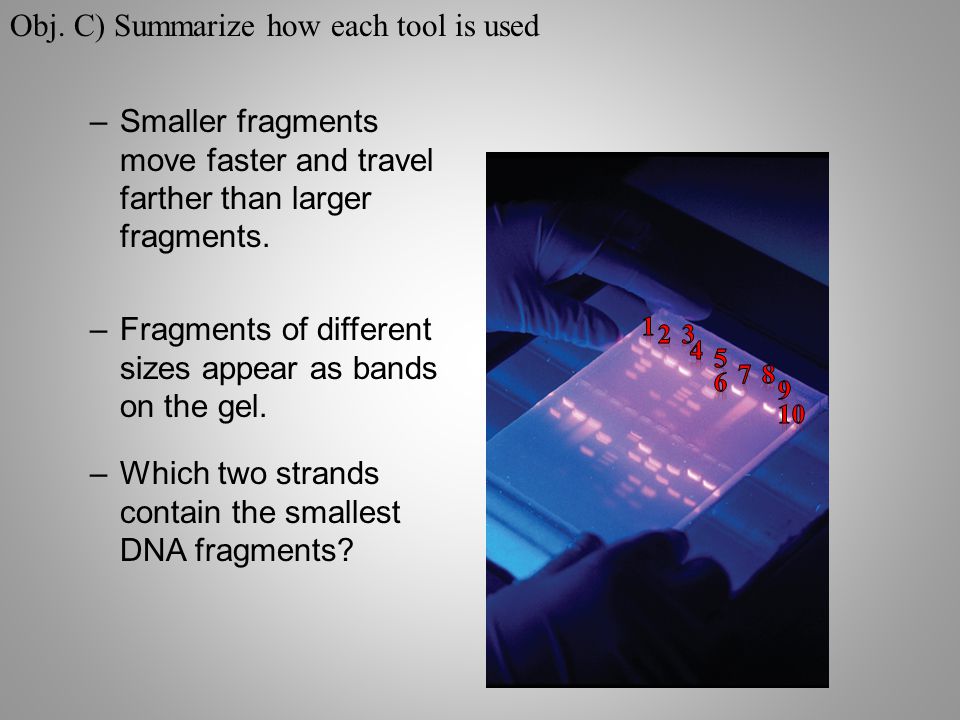 –Smaller fragments move faster and travel farther than larger fragments.