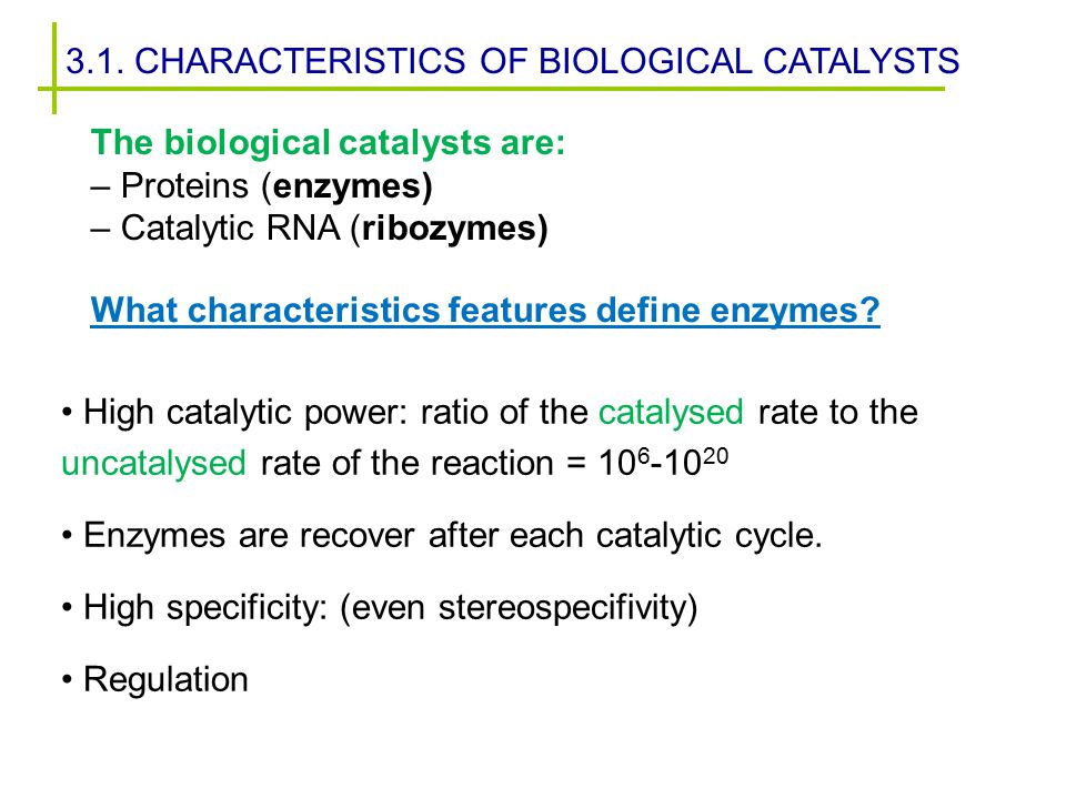 characteristics of enzymes