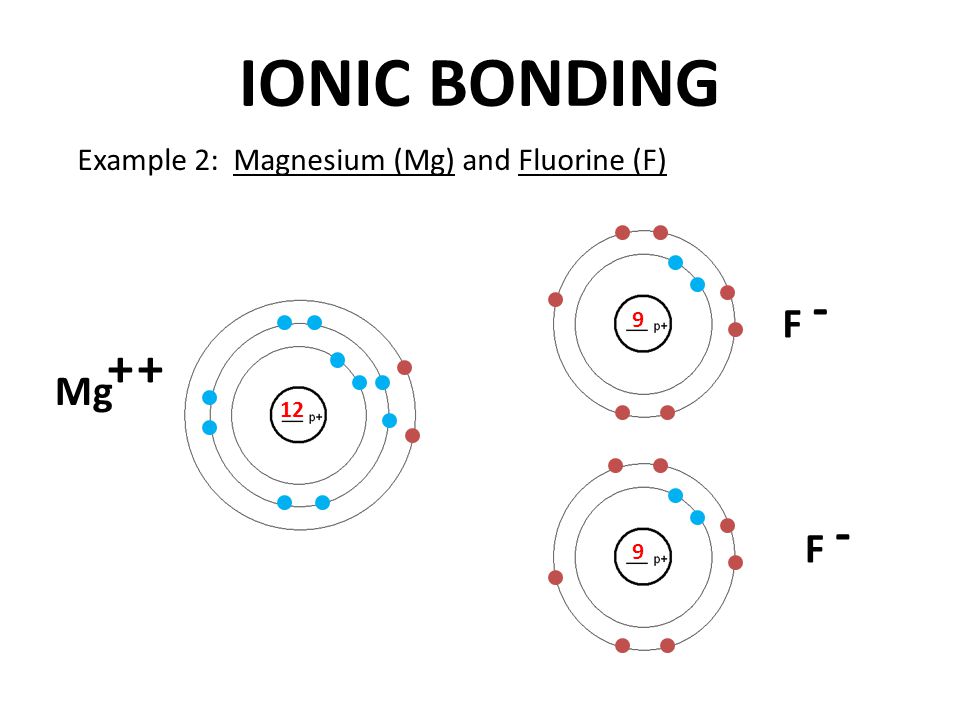 IONIC BONDING 12 Example 2: Magnesium (Mg) and Fluorine (F) Mg F 9 9 F