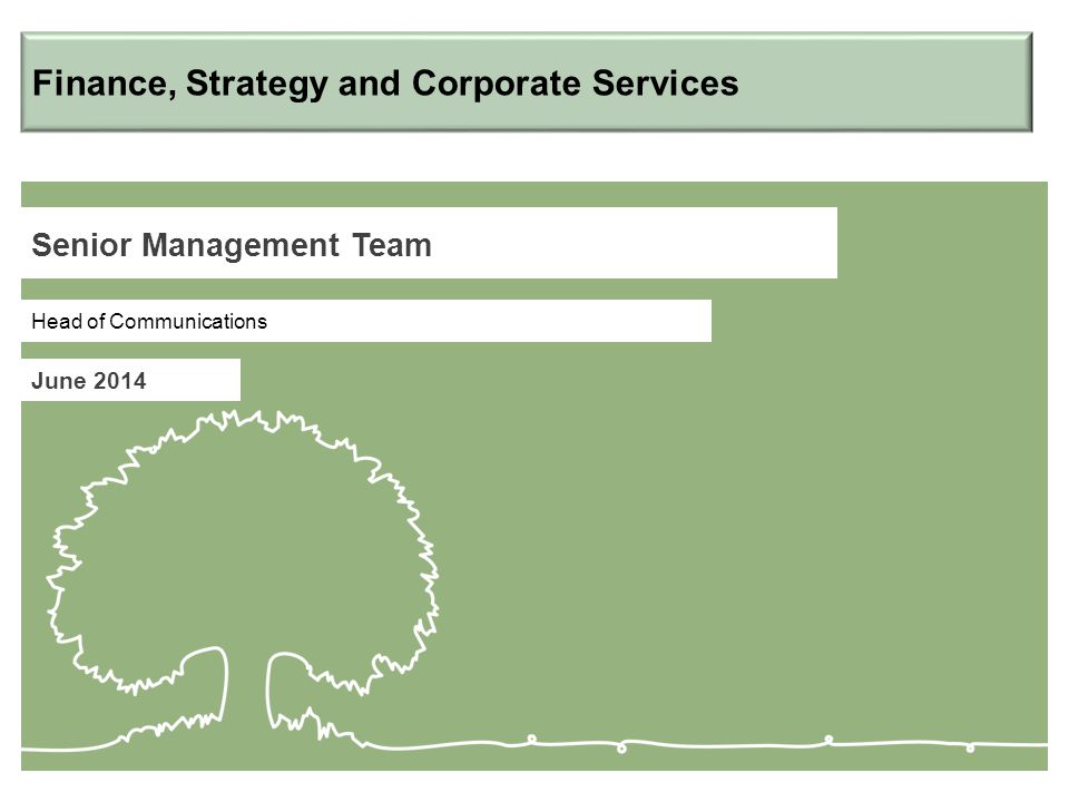 Senior Management Team June 2014 Head of Communications Finance, Strategy and Corporate Services