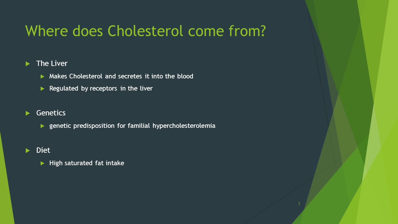 Where does Cholesterol come from.