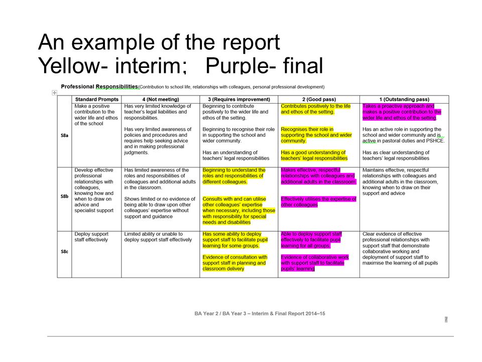 An example of the report Yellow- interim; Purple- final