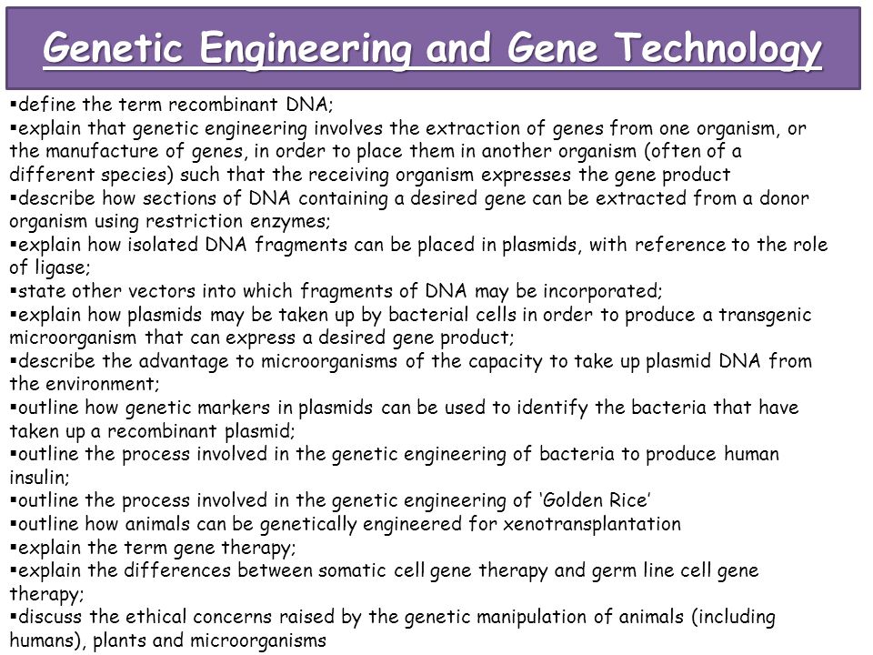 genetic engineering case studies genetic engineering case studies