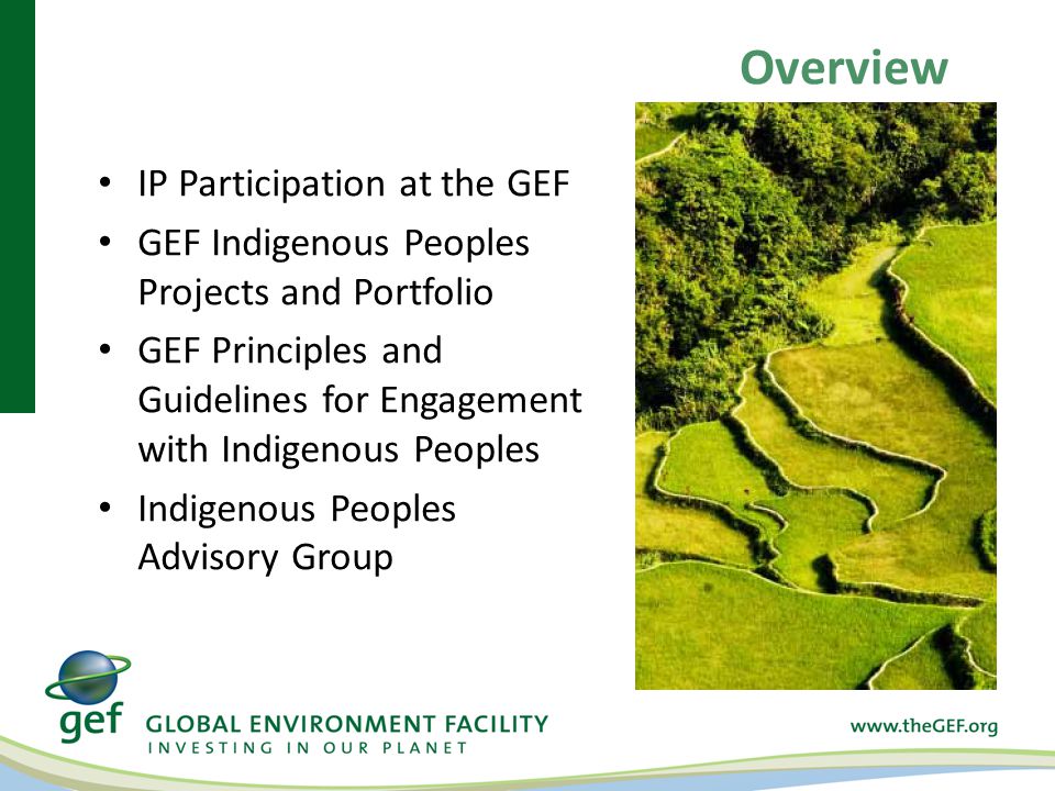 Overview IP Participation at the GEF GEF Indigenous Peoples Projects and Portfolio GEF Principles and Guidelines for Engagement with Indigenous Peoples Indigenous Peoples Advisory Group