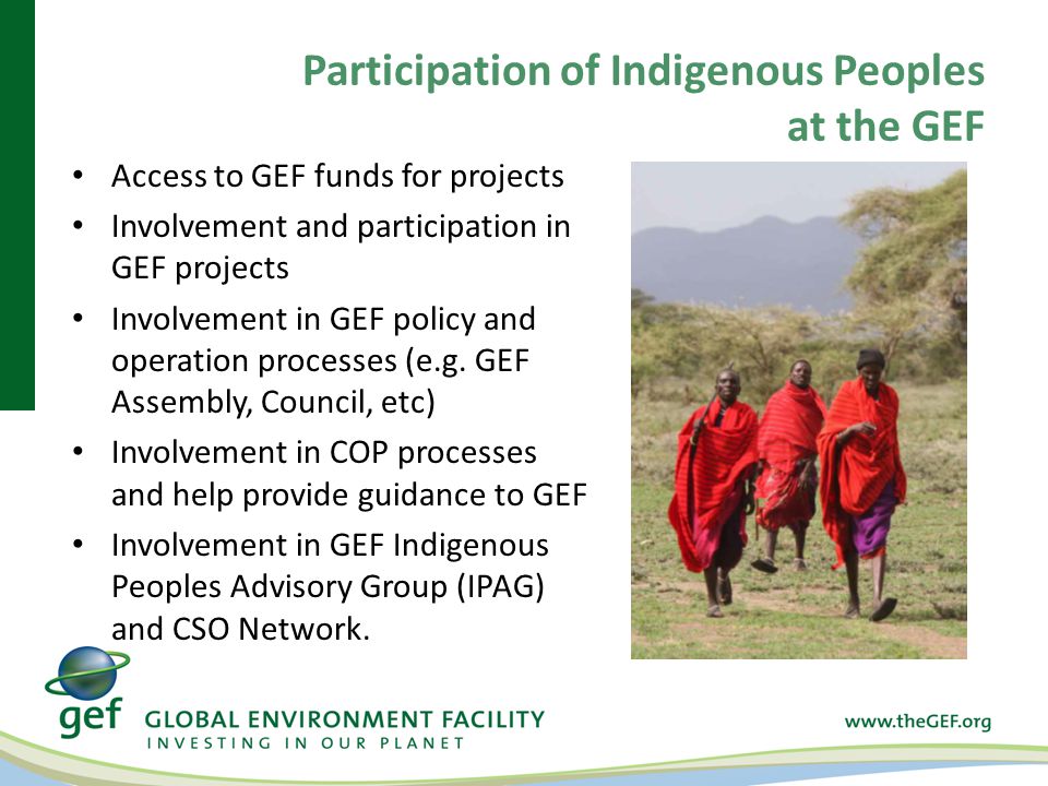 Participation of Indigenous Peoples at the GEF Access to GEF funds for projects Involvement and participation in GEF projects Involvement in GEF policy and operation processes (e.g.