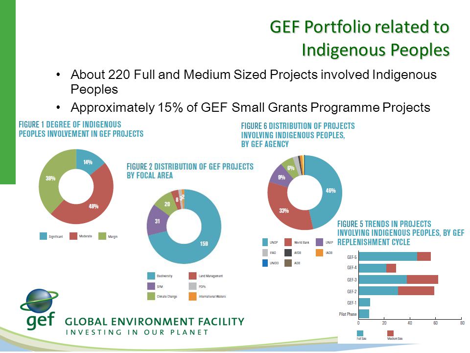 GEF Portfolio related to Indigenous Peoples About 220 Full and Medium Sized Projects involved Indigenous Peoples Approximately 15% of GEF Small Grants Programme Projects