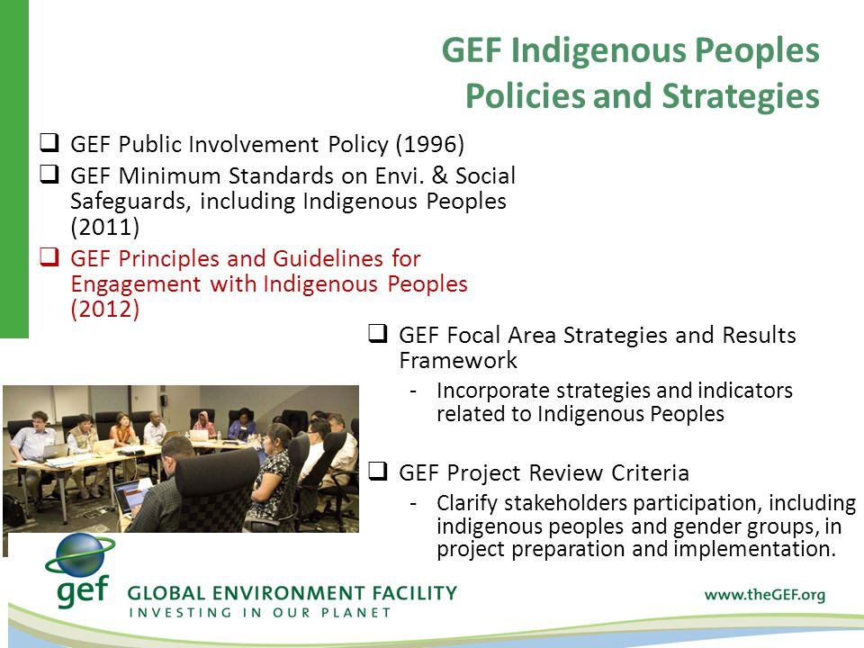 GEF Indigenous Peoples Policies and Strategies  GEF Focal Area Strategies and Results Framework -Incorporate strategies and indicators related to Indigenous Peoples  GEF Project Review Criteria -Clarify stakeholders participation, including indigenous peoples and gender groups, in project preparation and implementation.