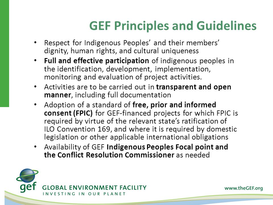Respect for Indigenous Peoples’ and their members’ dignity, human rights, and cultural uniqueness Full and effective participation of indigenous peoples in the identification, development, implementation, monitoring and evaluation of project activities.