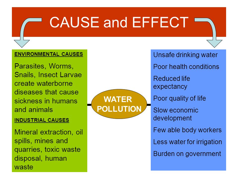 No Homework Persuasive Essay How I Spent My Holidays Essay For Kids also Measure For Measure Essay Essay Greenhouse Effect Co Experiment Love Marriage Essay