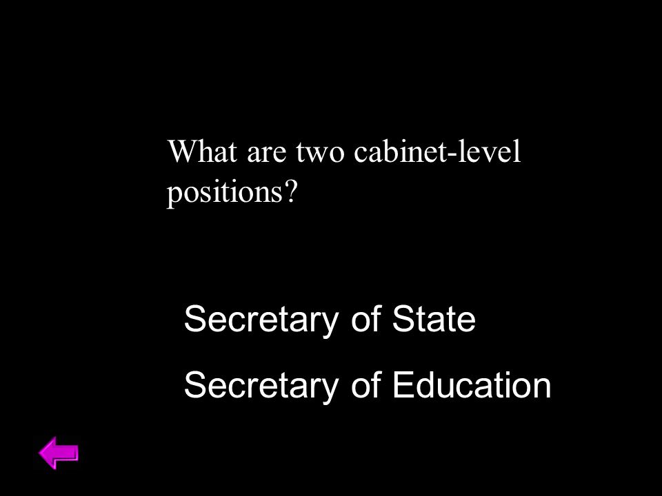 What does the President’s cabinet do advises the President