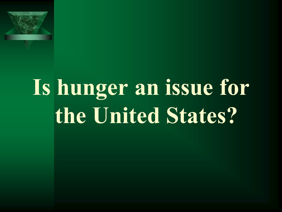 Is hunger an issue for the United States