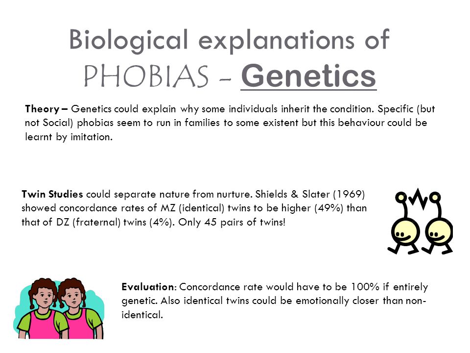 Phobia Essay