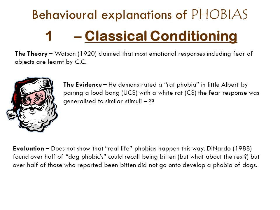 types of phobias essay types of phobias essay