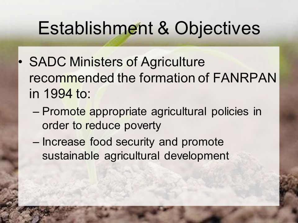 Establishment & Objectives SADC Ministers of Agriculture recommended the formation of FANRPAN in 1994 to: –Promote appropriate agricultural policies in order to reduce poverty –Increase food security and promote sustainable agricultural development