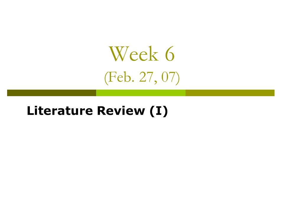 apa lit review