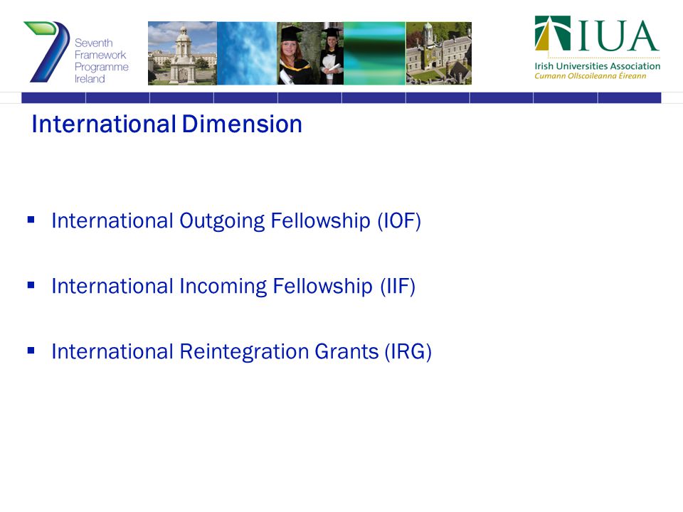 International Dimension  International Outgoing Fellowship (IOF)  International Incoming Fellowship (IIF)  International Reintegration Grants (IRG)