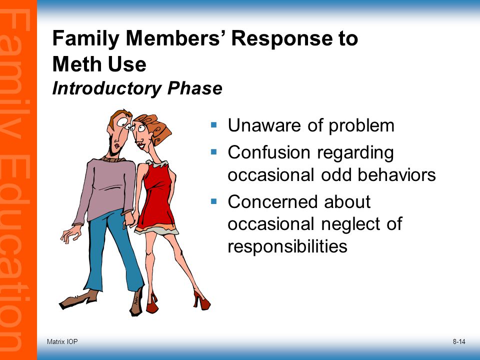 Family Education Matrix IOP8-14 Family Members’ Response to Meth Use Introductory Phase  Unaware of problem  Confusion regarding occasional odd behaviors  Concerned about occasional neglect of responsibilities