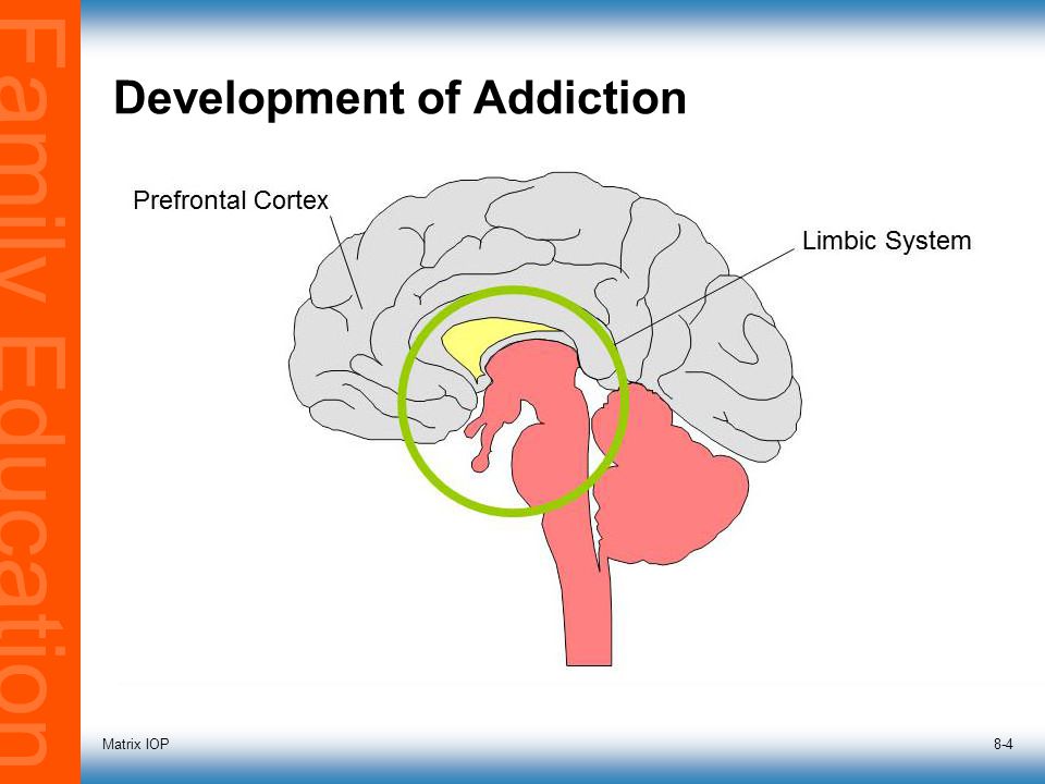 Family Education Matrix IOP8-4 Development of Addiction