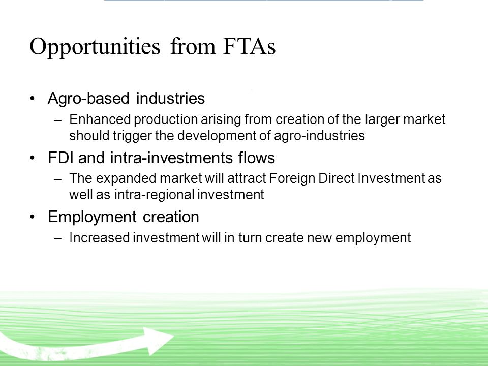 Opportunities from FTAs Agro-based industries –Enhanced production arising from creation of the larger market should trigger the development of agro-industries FDI and intra-investments flows –The expanded market will attract Foreign Direct Investment as well as intra-regional investment Employment creation –Increased investment will in turn create new employment