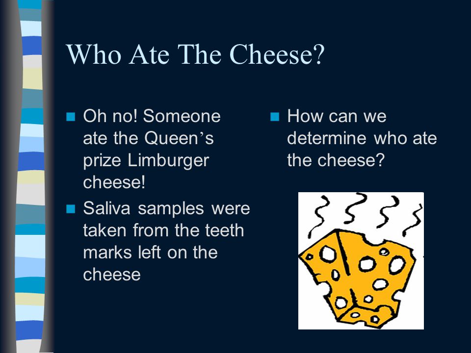 Who Ate The Cheese. Oh no. Someone ate the Queen ’ s prize Limburger cheese.