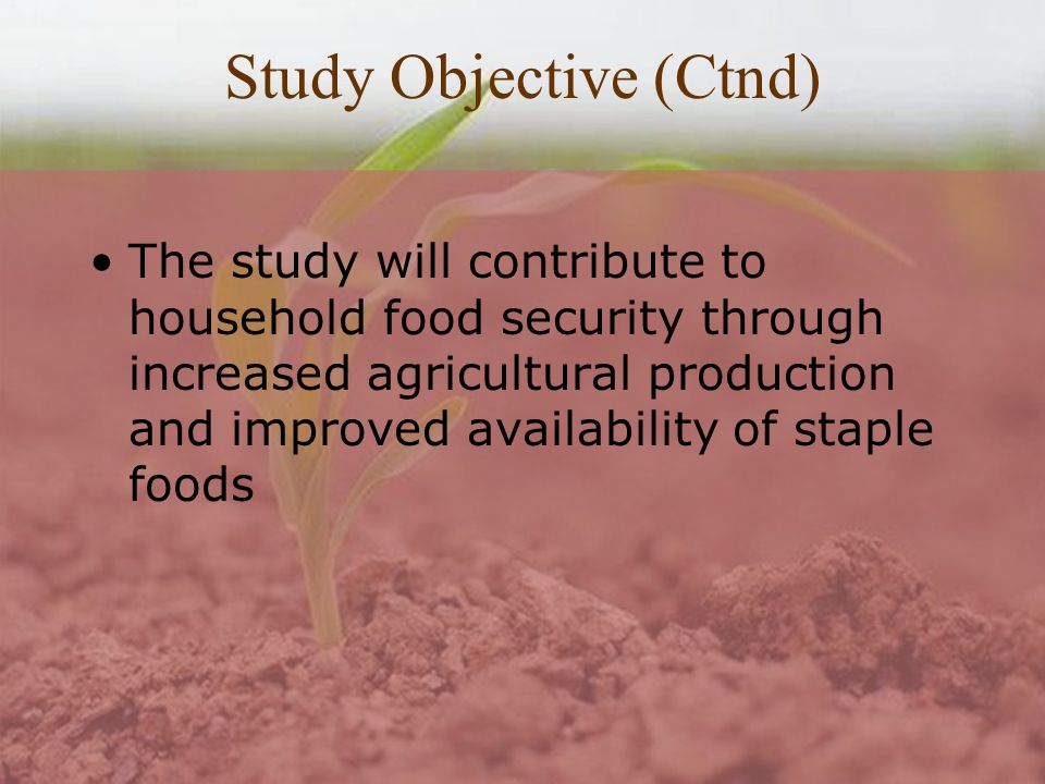 Study Objective (Ctnd) The study will contribute to household food security through increased agricultural production and improved availability of staple foods
