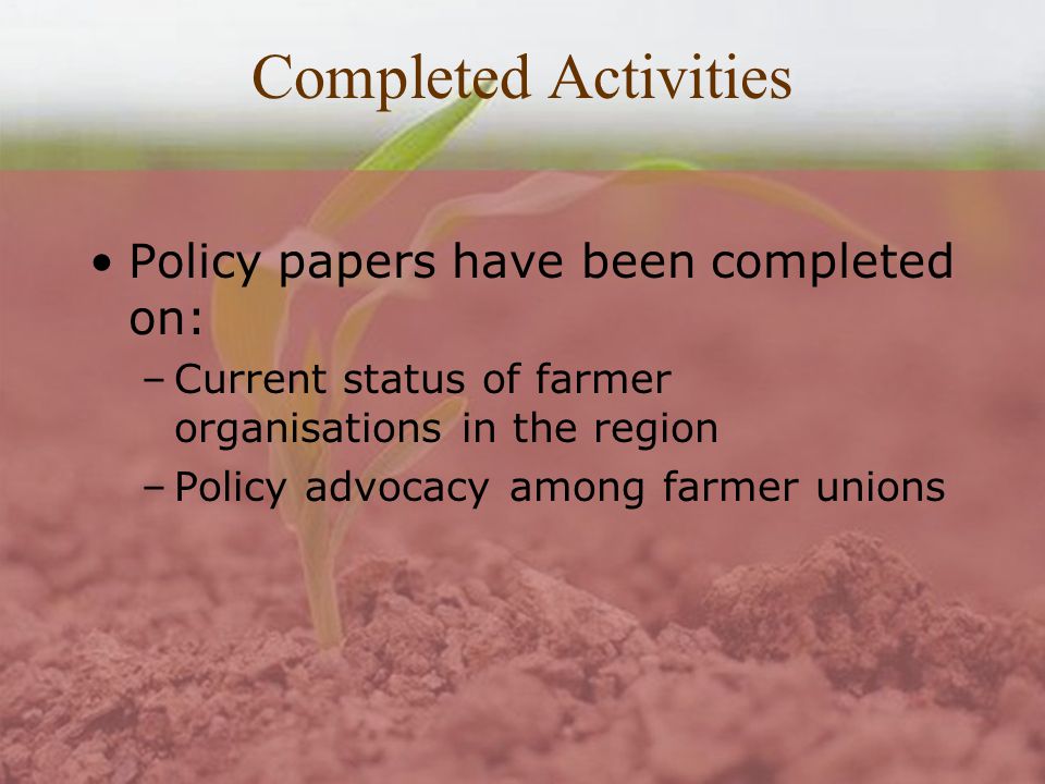 Completed Activities Policy papers have been completed on: –Current status of farmer organisations in the region –Policy advocacy among farmer unions