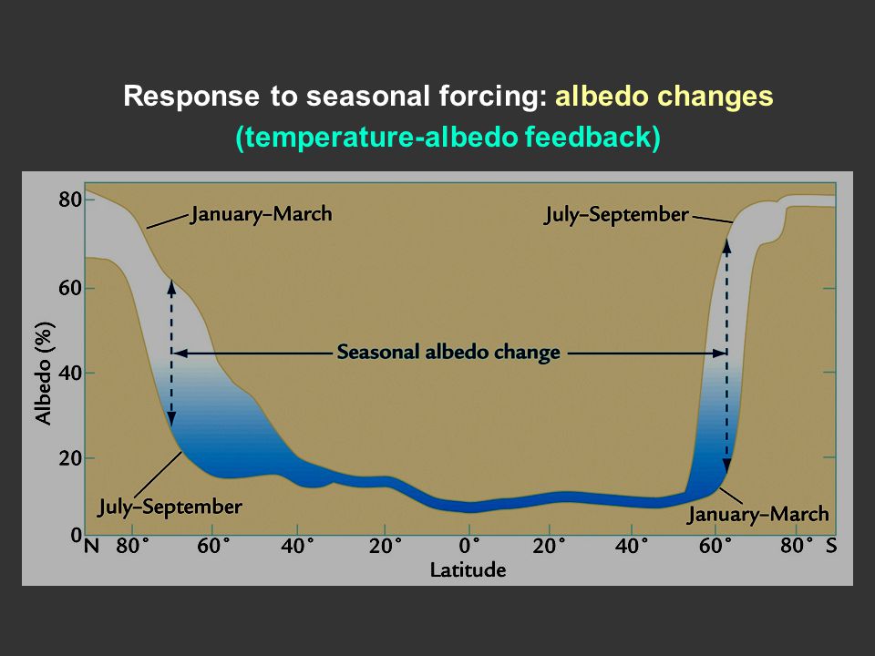 Response to seasonal forcing: albedo changes (temperature-albedo feedback)