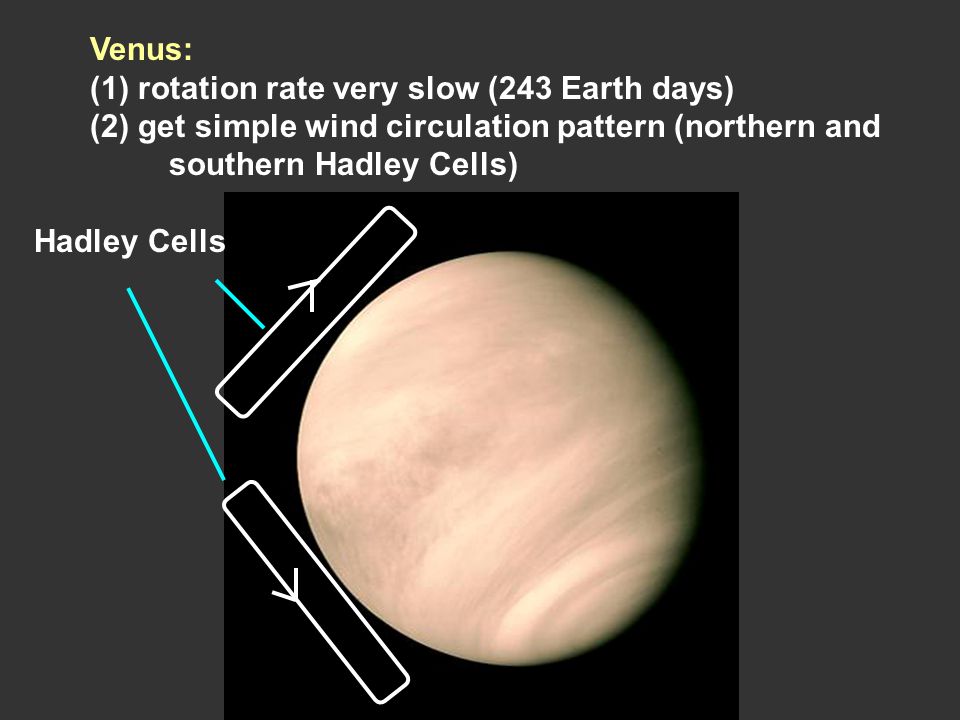 Venus: (1) rotation rate very slow (243 Earth days) (2) get simple wind circulation pattern (northern and southern Hadley Cells) Hadley Cells