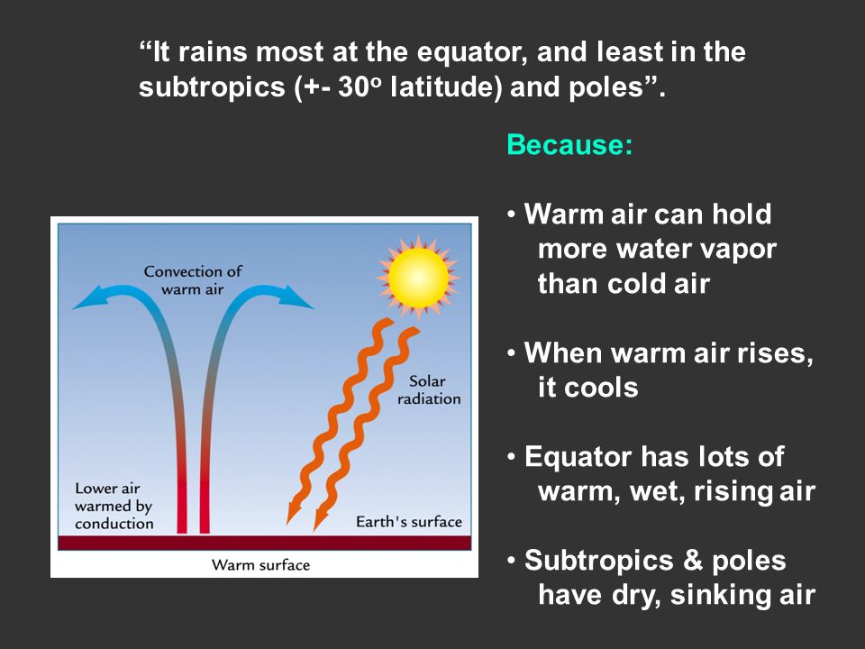 Because: Warm air can hold more water vapor than cold air When warm air rises, it cools Equator has lots of warm, wet, rising air Subtropics & poles have dry, sinking air It rains most at the equator, and least in the subtropics (+- 30 o latitude) and poles .