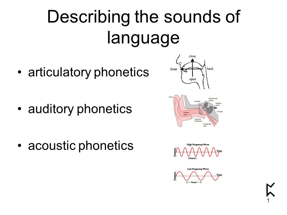 IPA Phonetic Symbols – Linguistics and English Classes CPP