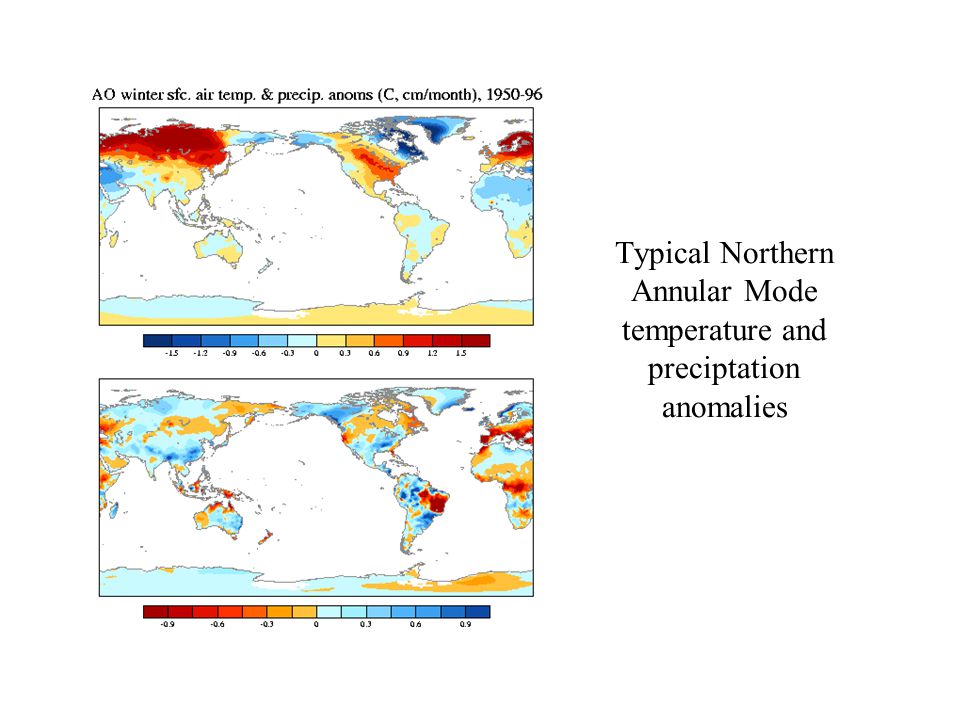 Typical Northern Annular Mode temperature and preciptation anomalies
