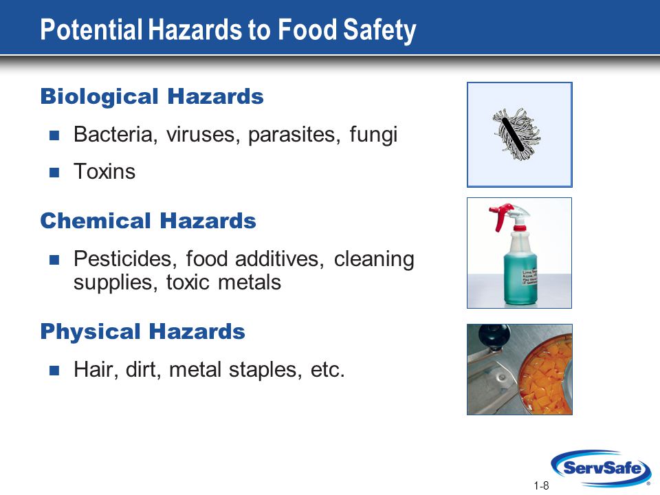 safety of food aditives in the food supply Food additive: food additive, any msg learn about the myths and safety of monosodium glutamate variability of supply, reactivity with other food components. safety of food aditives in the food supply Food additive: food additive, any msg learn about the myths and safety of monosodium glutamate variability of supply, reactivity with other food components.