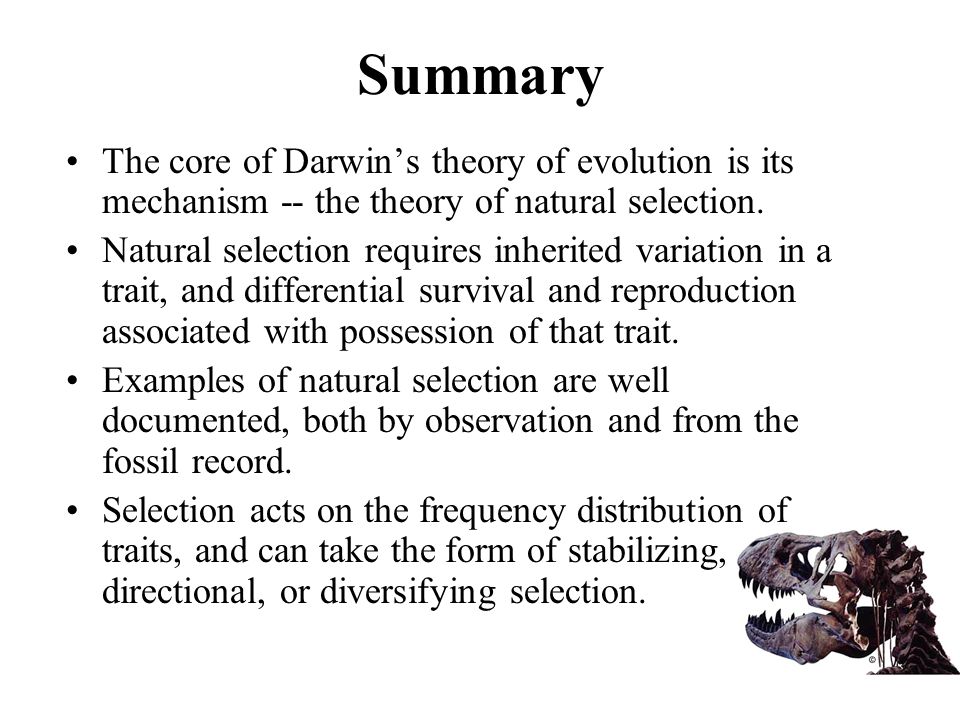 various evolutionary theories supporting the darwins theory In broad terms, contemporary evolutionary theory builds on the synthesis of darwin's ideas of natural variation and selection and mendel's model of genetic inheritance accomplished by ra fisher, jbs haldane, and sewall wright in 1930-32 for an overview, see george williams, evolution and. various evolutionary theories supporting the darwins theory In broad terms, contemporary evolutionary theory builds on the synthesis of darwin's ideas of natural variation and selection and mendel's model of genetic inheritance accomplished by ra fisher, jbs haldane, and sewall wright in 1930-32 for an overview, see george williams, evolution and.