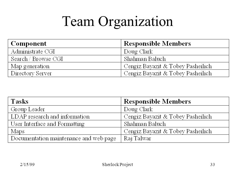 2/15/99Sherlock Project33 Team Organization