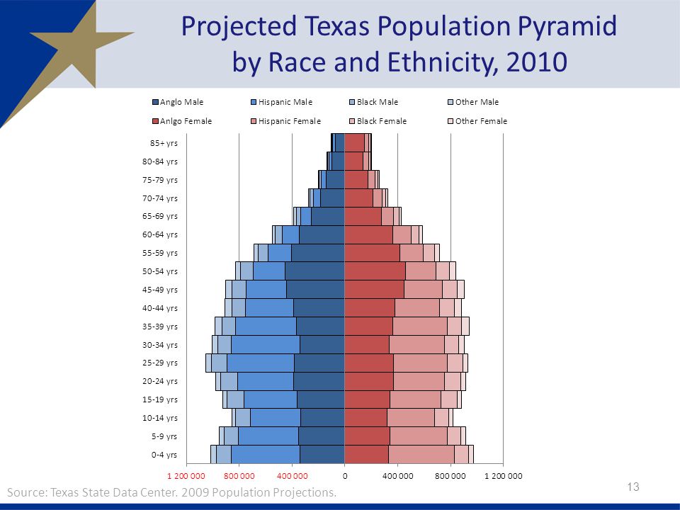 13 Projected Texas Population Pyramid by Race and Ethnicity, 2010 Source: Texas State Data Center.