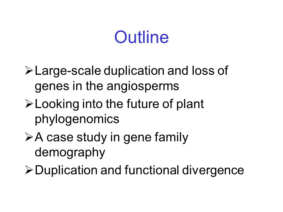 Outline  Large-scale duplication and loss of genes in the angiosperms  Looking into the future of plant phylogenomics  A case study in gene family demography  Duplication and functional divergence