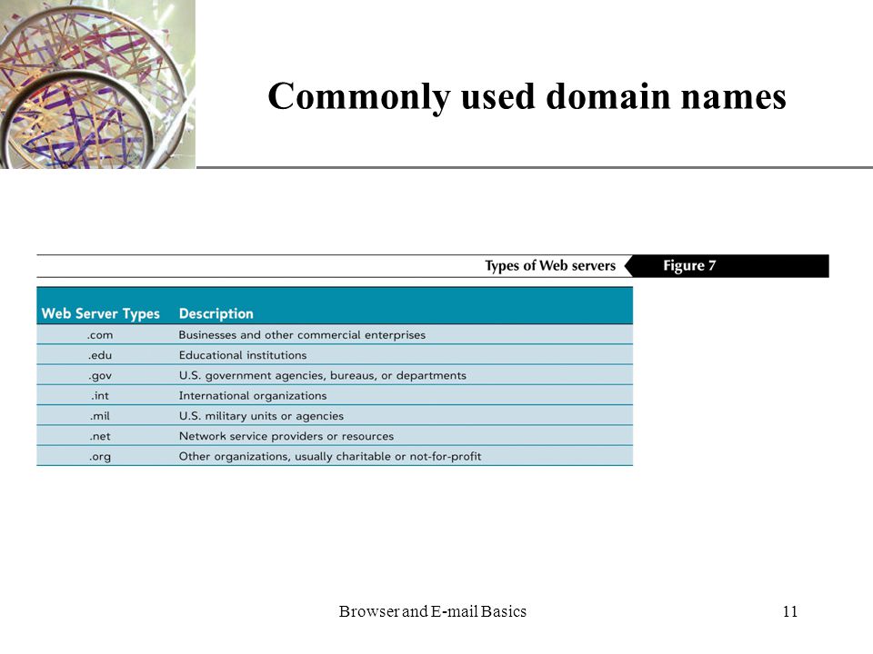 XP Browser and  Basics11 Commonly used domain names