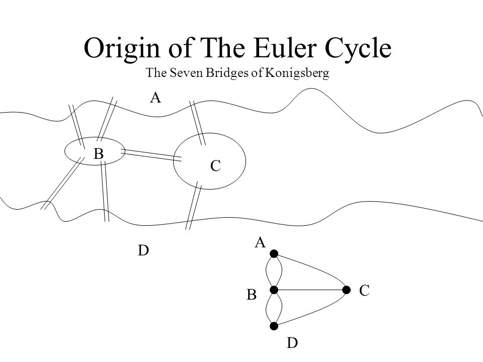 Origin of The Euler Cycle The Seven Bridges of Konigsberg B A C D A B C D