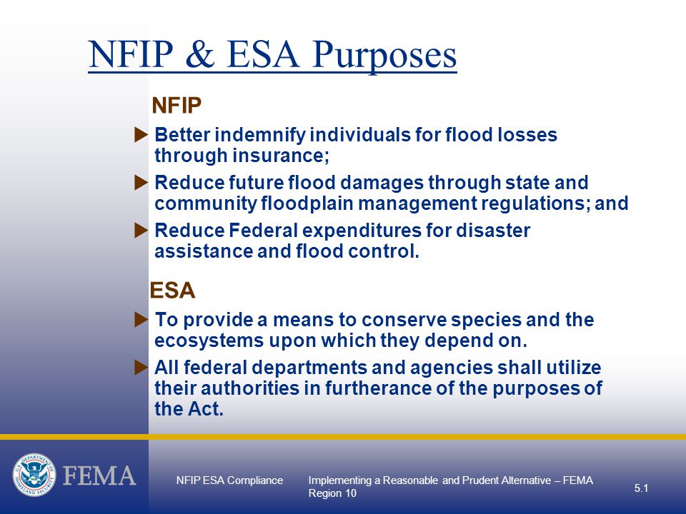 NFIP ESA ComplianceImplementing a Reasonable and Prudent Alternative – FEMA Region NFIP & ESA Purposes NFIP  Better indemnify individuals for flood losses through insurance;  Reduce future flood damages through state and community floodplain management regulations; and  Reduce Federal expenditures for disaster assistance and flood control.