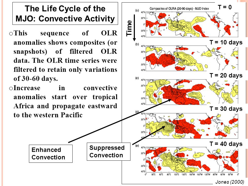 14 The Life Cycle of the MJO: Convective Activity Jones (2000) Enhanced Convection Suppressed Convection o This sequence of OLR anomalies shows composites (or snapshots) of filtered OLR data.
