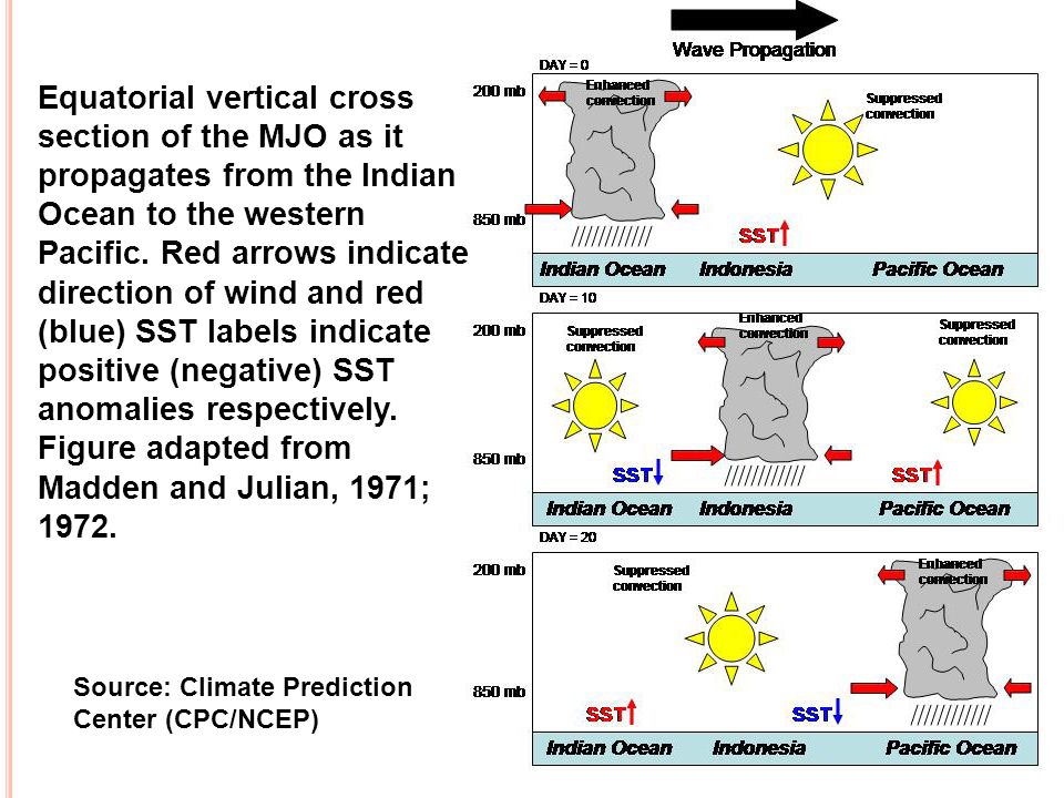 15 Equatorial vertical cross section of the MJO as it propagates from the Indian Ocean to the western Pacific.