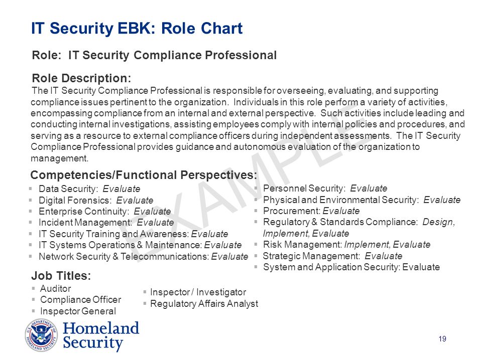 19 EXAMPLE IT Security EBK: Role Chart Role: IT Security Compliance Professional Role Description: The IT Security Compliance Professional is responsible for overseeing, evaluating, and supporting compliance issues pertinent to the organization.
