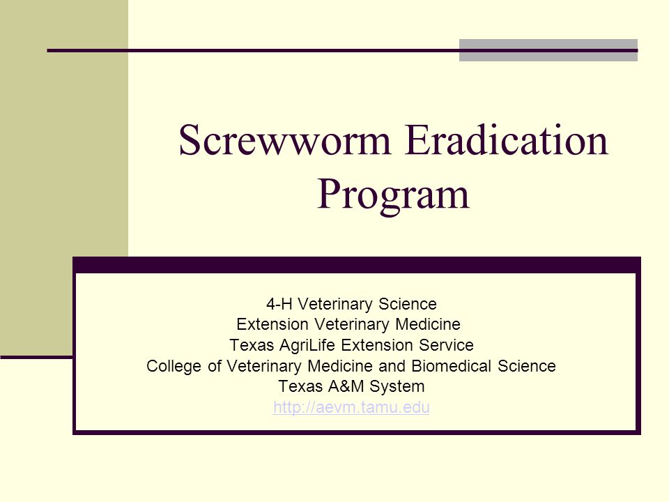 Screwworm Eradication Program 4-H Veterinary Science Extension Veterinary Medicine Texas AgriLife Extension Service College of Veterinary Medicine and Biomedical Science Texas A&M System