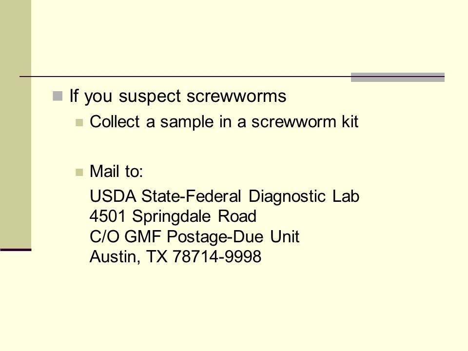 If you suspect screwworms Collect a sample in a screwworm kit Mail to: USDA State-Federal Diagnostic Lab 4501 Springdale Road C/O GMF Postage-Due Unit Austin, TX