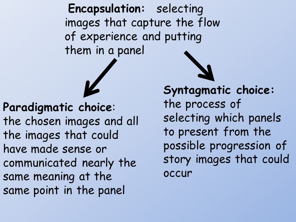 Paradigmatic choice: the chosen images and all the images that could have made sense or communicated nearly the same meaning at the same point in the panel Syntagmatic choice: the process of selecting which panels to present from the possible progression of story images that could occur Encapsulation: selecting images that capture the flow of experience and putting them in a panel