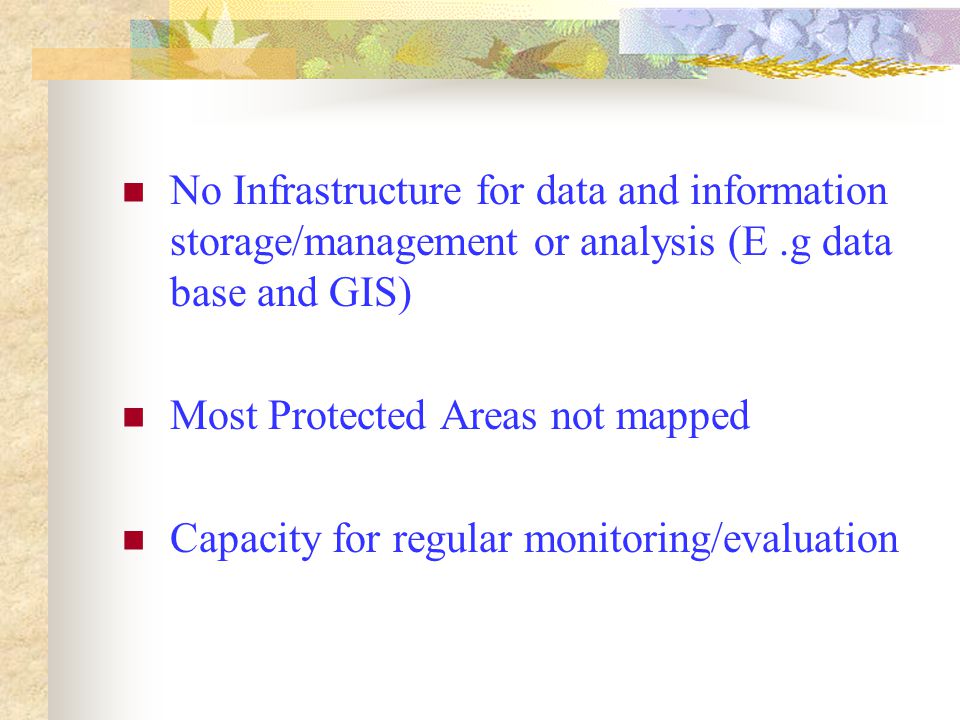No Infrastructure for data and information storage/management or analysis (E.g data base and GIS) Most Protected Areas not mapped Capacity for regular monitoring/evaluation