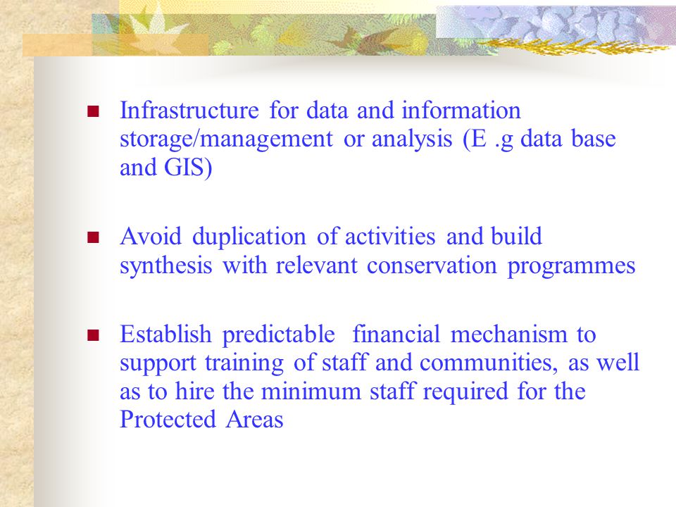 Infrastructure for data and information storage/management or analysis (E.g data base and GIS) Avoid duplication of activities and build synthesis with relevant conservation programmes Establish predictable financial mechanism to support training of staff and communities, as well as to hire the minimum staff required for the Protected Areas